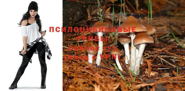 мет Гусиноозёрск