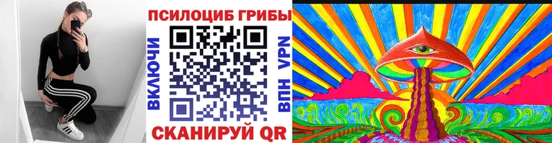 Галлюциногенные грибы GOLDEN TEACHER  Купить  Михайловка 